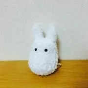 ぽぬ＊断捨離中＊の画像