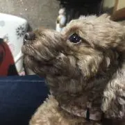 みさきの画像