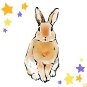 E.SSENCEの画像