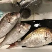 なの画像