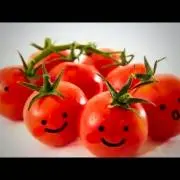 cocoの画像