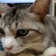 はるるるの画像