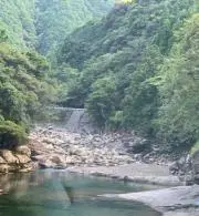 ヤニィの画像
