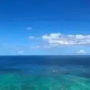 teの画像