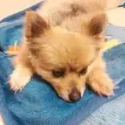 りぃー