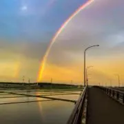 miooo【プロフ必須】の画像
