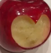 まるたの画像
