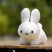ハルの画像