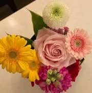 さいさいの画像