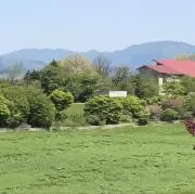 めりぃの画像