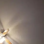 レイ