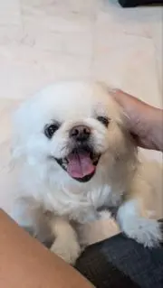 メロディーの画像