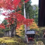 M.Wの画像