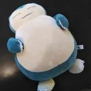 おおたぬきの画像