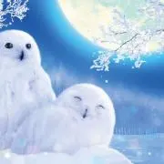 福ローの画像
