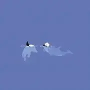 K4zuの画像