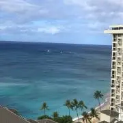 マミーの画像