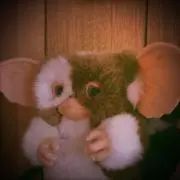 ポテト