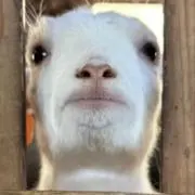 むにえるの画像