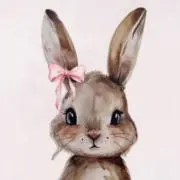 うさぎの画像
