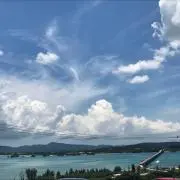 ピギの画像