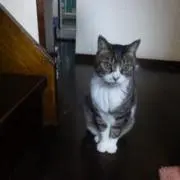 sakichannの画像