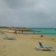 neneryouma