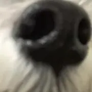 ty0416の画像