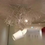 そらの画像