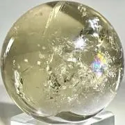 しろゆずの画像