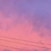 れもんの画像