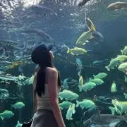 璃の画像