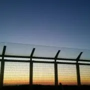 shirinの画像