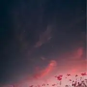 とまもの画像