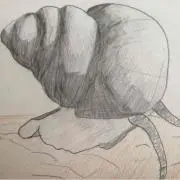 モニカ