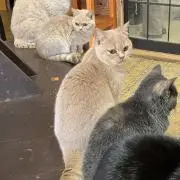takuの画像
