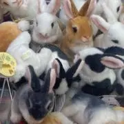 ぽんた　★自己紹介文ご確認ください★の画像