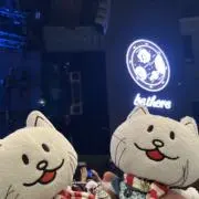 ぃっの画像