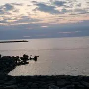 ベアの画像