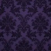‪‪‪ロアの画像