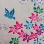 あさかの画像