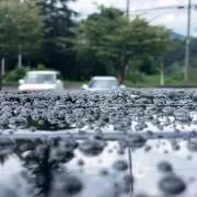 アルピエンの画像