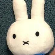 Yuiの画像