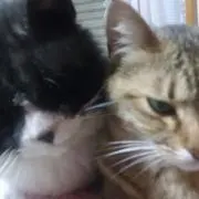 ゆっぺん