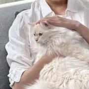 Yuの画像