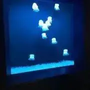 so-da✴︎発送までお時間いただきますの画像