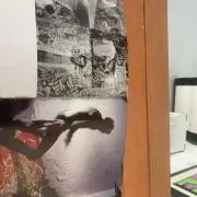 住みたい