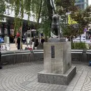 Hachiの画像
