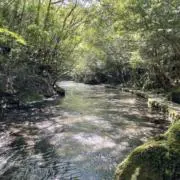 REJISTAの画像