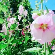 ∞knk∞の画像